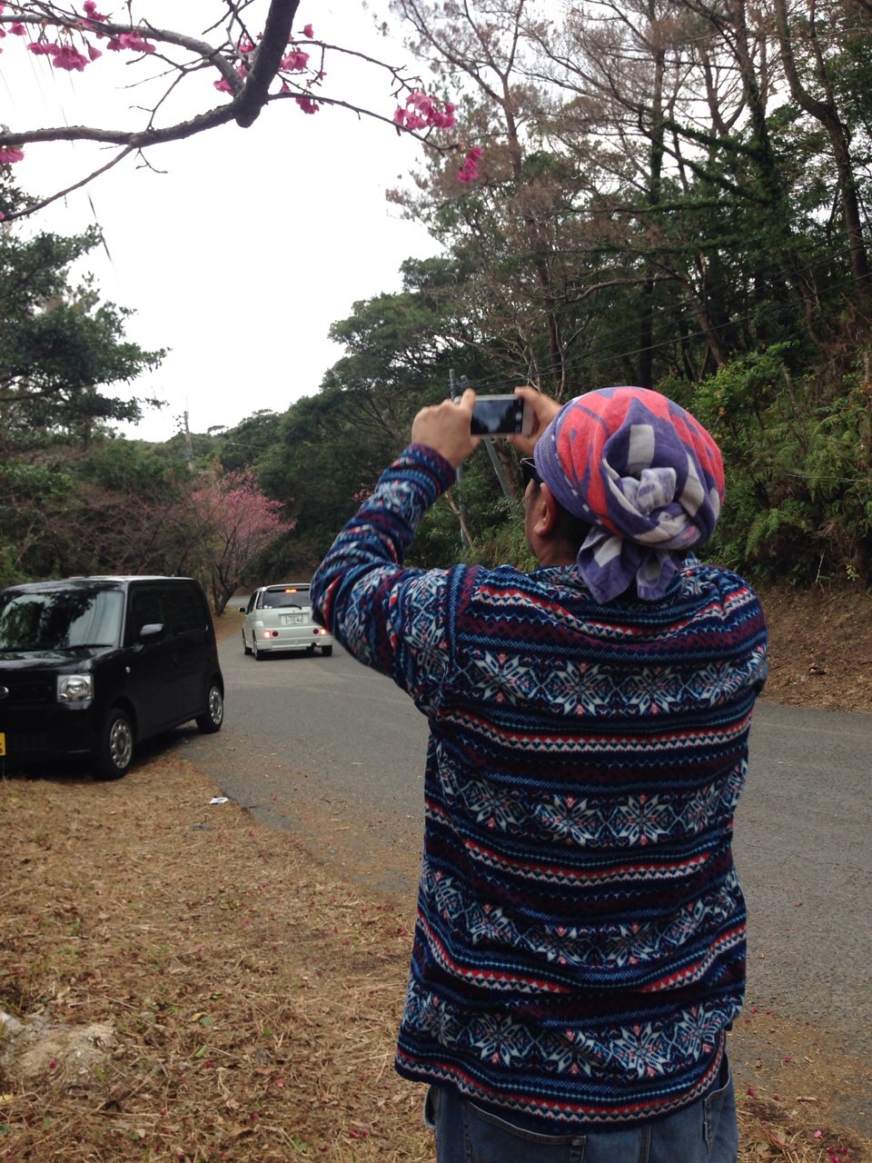 桜を撮影するおじさん